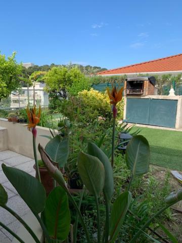 Jardin D'Azur Proche Mer Cagnes-sur-Mer Luaran gambar